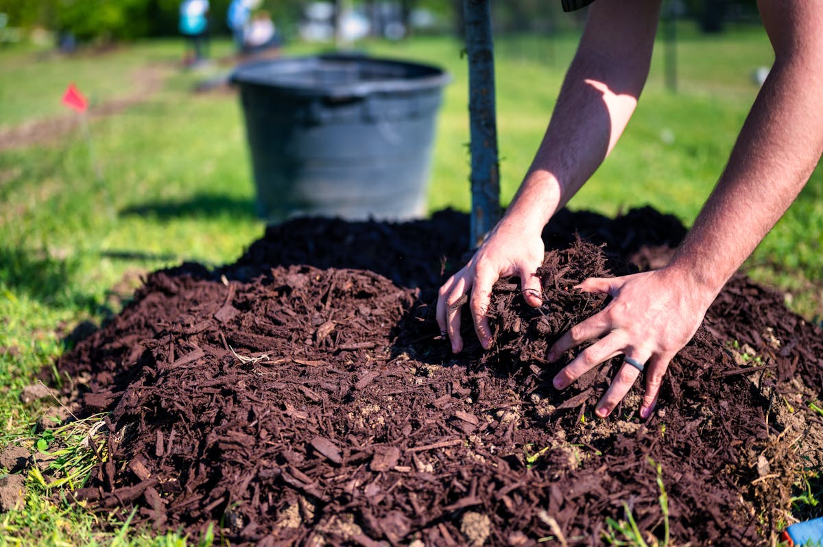 Gloved hands working soil in a freshly prepared bed.