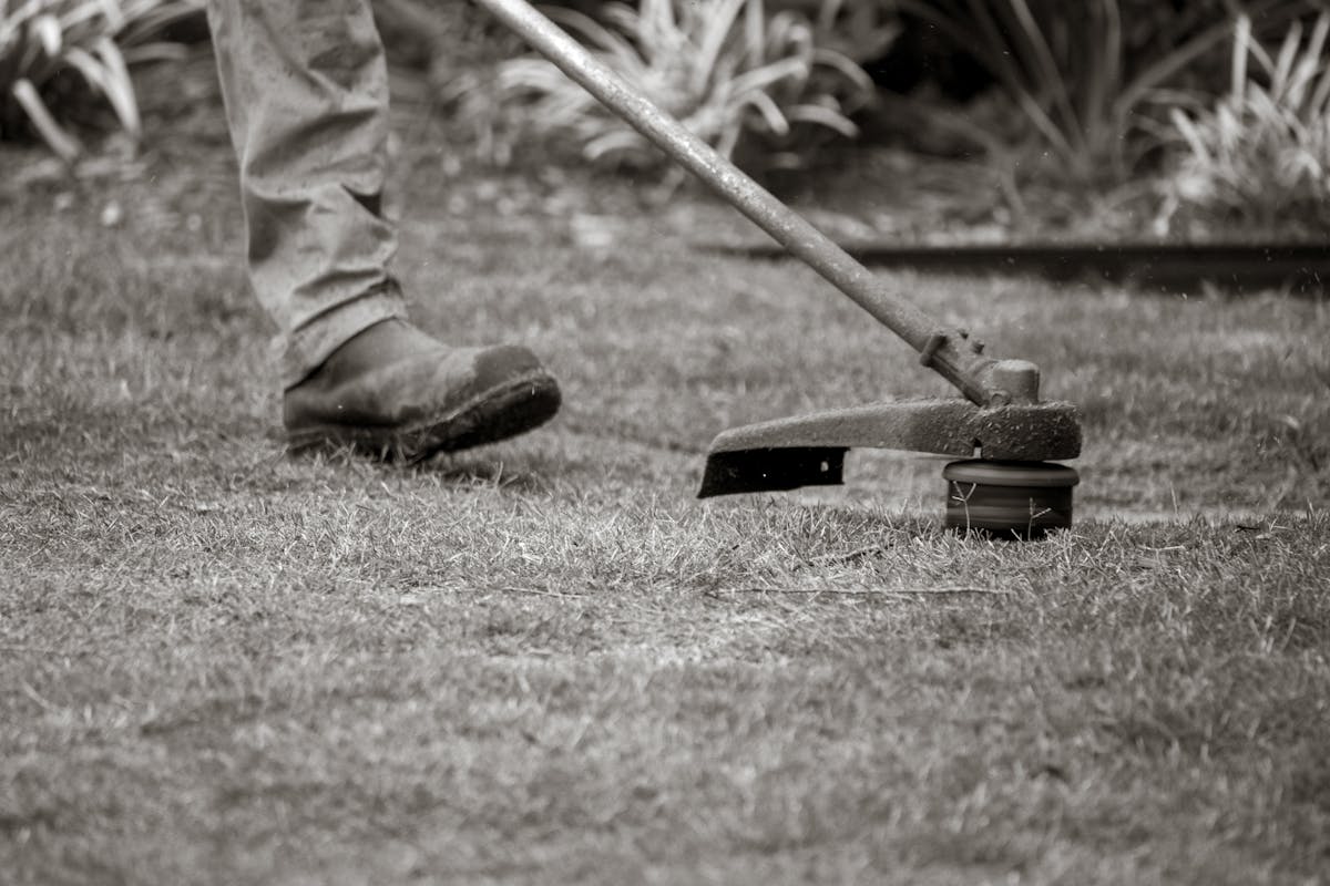 A string trimmer detailing the edge of a residential lawn.